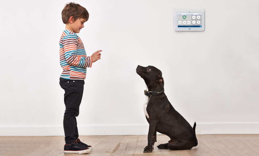 Holyoke security systems